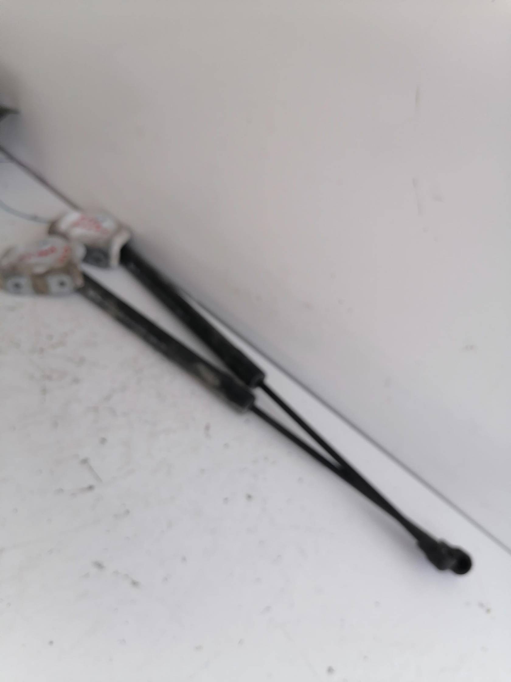 Asta ammortizzante portello post. sx.